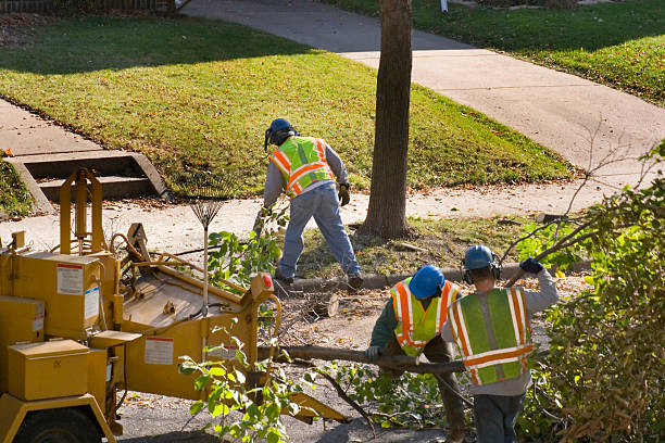 Best Emergency Storm Tree Removal  in Sumner, WA